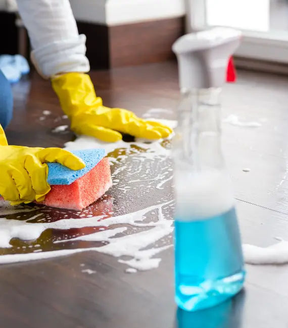 Professional House Cleaning Services in Minneapolis